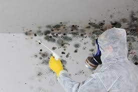 Why You Should Choose Our Mold Remediation Services in Nottingham, PA